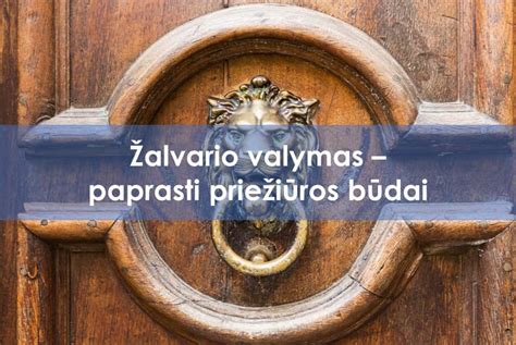 IQOS priežiūros instrukcijos – valymas ir krovimas.